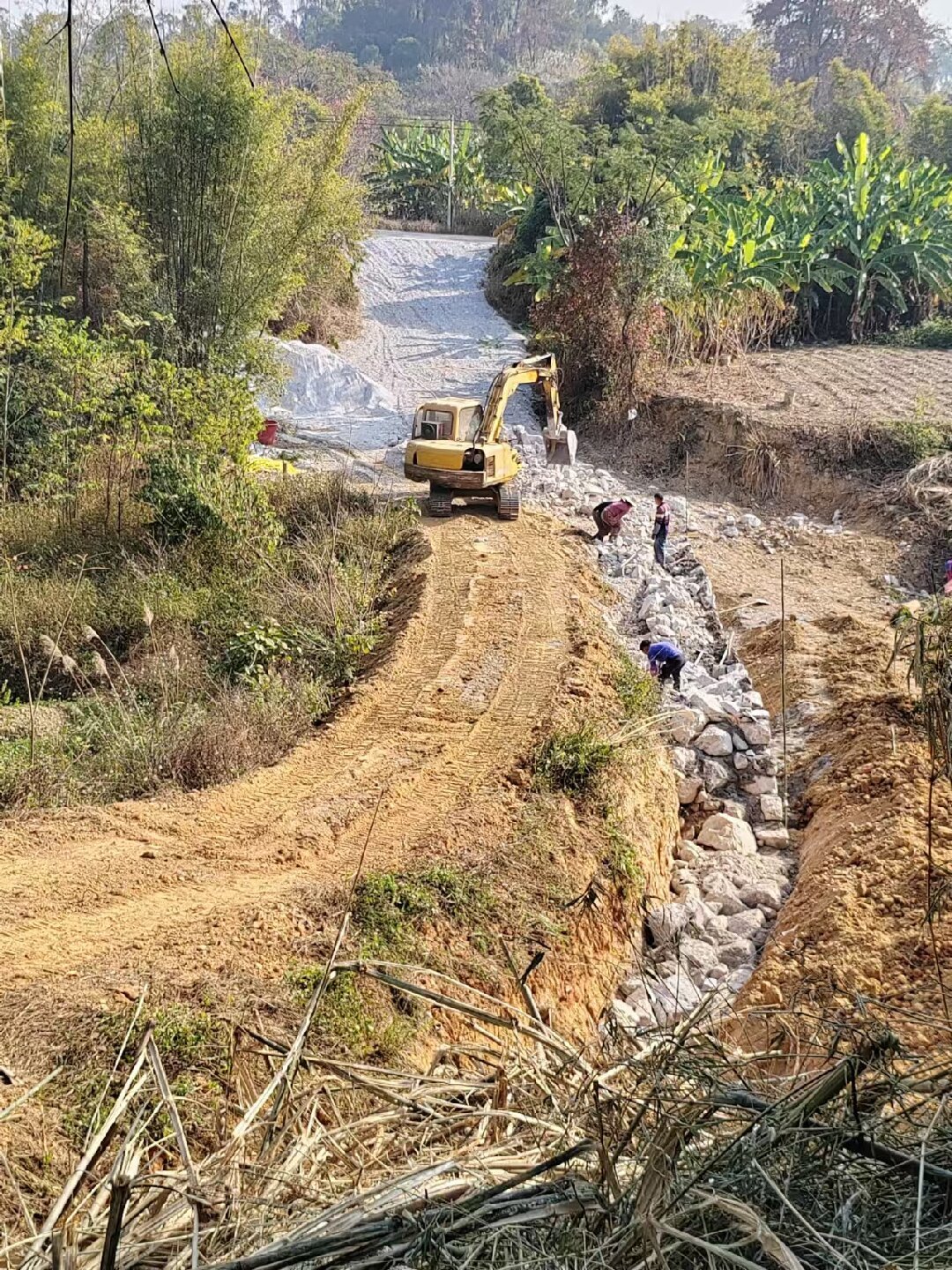 微信圖片_20250311165534 - 副本_proc.jpg