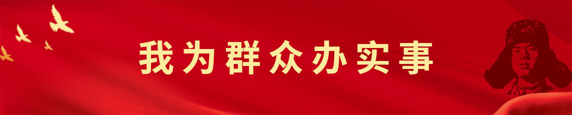 我為群眾辦實事
